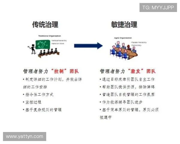 属兔企业家：敏捷思维与稳健决策助力事业腾飞的成功之道