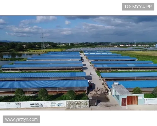 东台十大杰出企业家风采展示 助力地方经济腾飞 引领创新发展新风潮